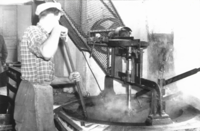 Proizvodnja bučnega olja leta 1960  (FOTO: Arhiv Tovarna olja Gea)